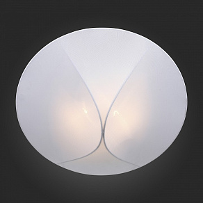 Накладной светильник ST-Luce Tonico SL360.552.02