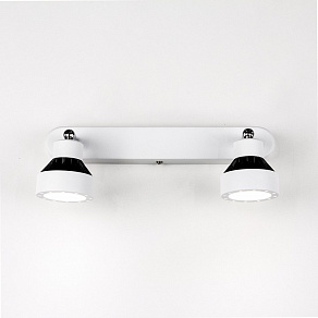 Спот Citilux Данди CL557521