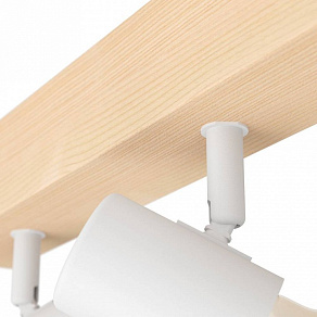 Спот Eglo TOWNSHEND 3 99484