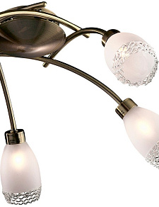 Потолочная люстра Odeon Light Lerta 1803/5C