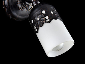 Спот Maytoni Renda ECO562-01-R