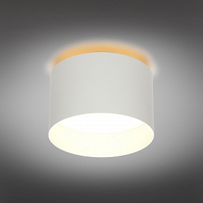 Накладной светильник Omnilux Stezzano OML-100419-16