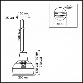 Подвесной светильник Lumion ECO 8368/1B