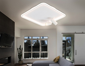 Накладной светильник Ambrella Light FL FL5114