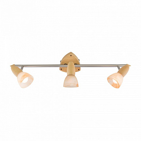 Спот Citilux Монте CL505531