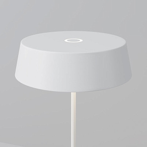 Наземный низкий светильник Maytoni Outdoor Porto O540TL-L2WCCT
