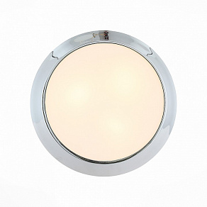 Накладной светильник ST-Luce Bagno SL469.502.03