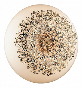 Накладной светильник Odeon Light Palmira 2677/6C
