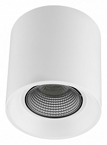 Накладной светильник Denkirs DK3040 DK3090-WH+CH