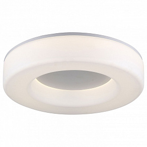 Накладной светильник ST-Luce Lordin SL886.502.01_LED