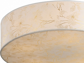 Накладной светильник Arte Lamp Nuvola A9522PL-3WG