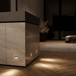 Встраиваемый светильник Werkel серебряный W1154606