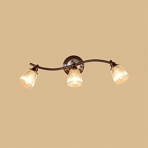 Спот Citilux Виндзор CL539531