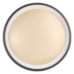 Накладной светильник Deko-Light Canis 731045