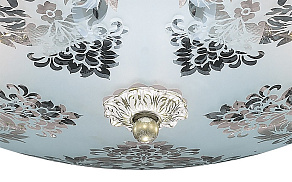 Накладной светильник Odeon Light Aspena 2777/6C