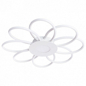 Накладной светильник Arte Lamp Polli A2528PL-8WH