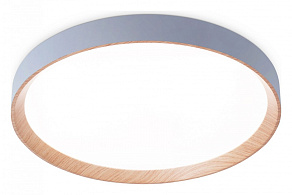 Накладной светильник Ambrella FZ FZ1322