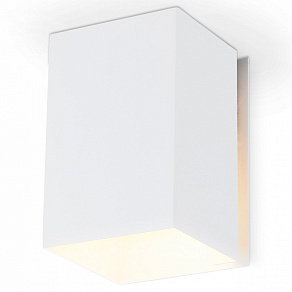 Накладной светильник Ambrella TN TN5111