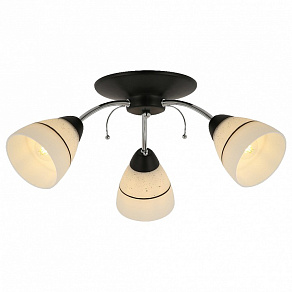 Потолочная люстра TopLight Winnifred TL1255D-03BC