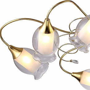 Потолочная люстра Arte Lamp Mughetto A9289PL-8GO