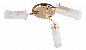 Потолочная люстра TopLight Brittany TL7130X-03FG