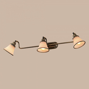 Спот Citilux Прованс CL511533