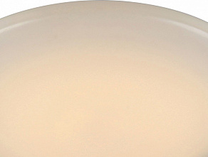 Накладной светильник ST-Luce SL875 SL875.052.01