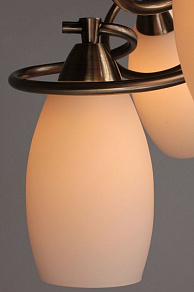 Люстра на штанге Omnilux OM-372 OML-37227-06