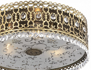 Накладной светильник Odeon Light Salona 2641/3C