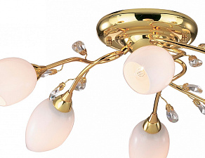 Потолочная люстра Odeon Light Fiera 1604/6