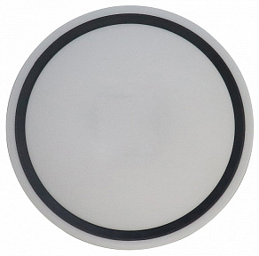 Накладной светильник Zortes BELLA ZRS.1201.04