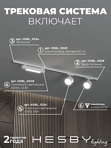 Комплект трековый Hesby Lighting Skylite №14 HSBL_kompl_S014_NI1W4K