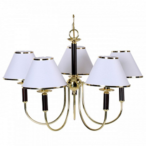 Подвесная люстра Arte Lamp Catrin A3545LM-5GO