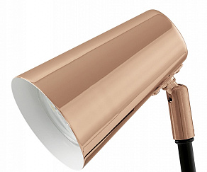 Настольная лампа офисная Eglo Travale 94395