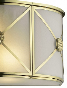 Накладной светильник Odeon Light Riona 2270/2W