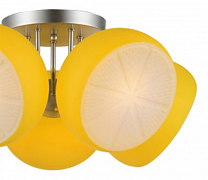 Потолочная люстра ST-Luce Arancio SL482.902.05
