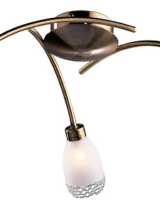 Потолочная люстра Odeon Light Lerta 1803/3C