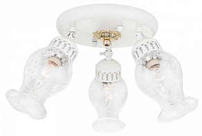 Спот Citilux Метафора CL413132