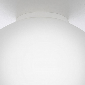 Накладной светильник Citilux RON CL941D25B0