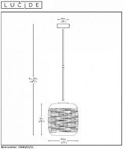 Подвесной светильник Lucide Eryn 70483/01/11