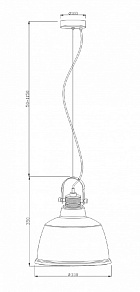 Подвесной светильник Maytoni Irving T163PL-01C