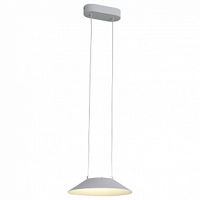Подвесной светильник ST-Luce Pitto SL427.503.01