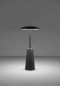 Настольная лампа декоративная Eglo PICCOLA 900925