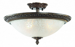 Светильник на штанге ST-Luce Fascino SL135.402.03