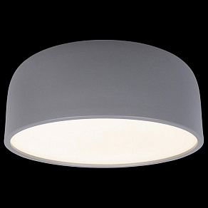 Накладной светильник Loft it Axel 10201/350 Grey