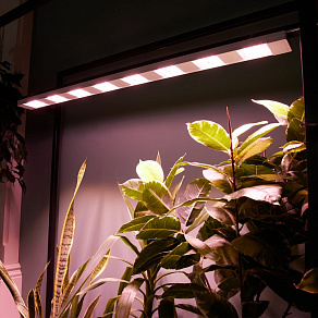 Светильник для растений Uniel ULI-P UL-00011264