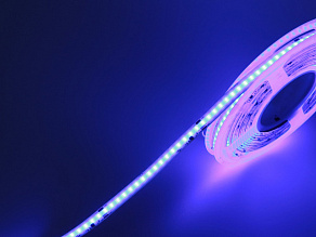 Лента светодиодная SWG PRO SWG-COB 00-00032667