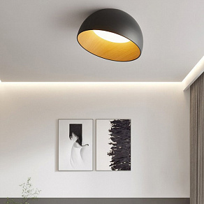 Накладной светильник Imperiumloft Bara01 223994-23