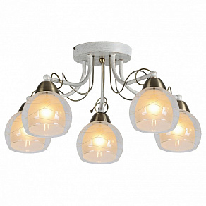 Потолочная люстра Arte Lamp  A1633PL-5WG