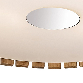 Накладной светильник Odeon Light Niko 2203/5C